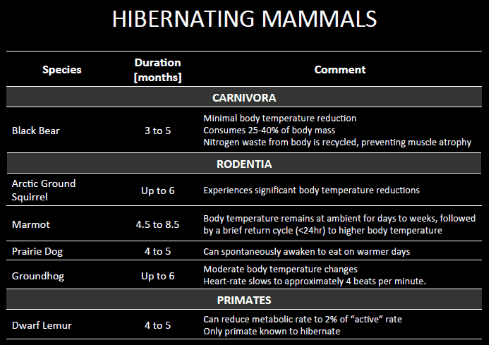 hibernation-mmmals