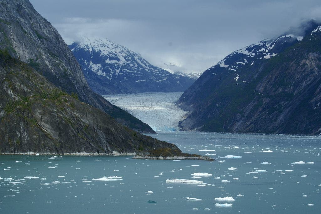 Fjords are effective at storing carbon, helping regulate global climate. Image via Wiki Commons.