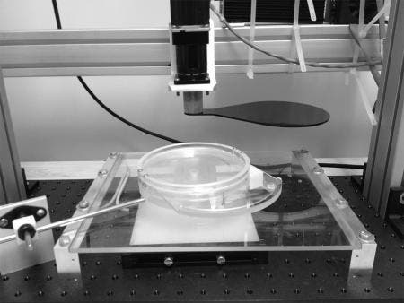 The experimental apparatus used for the study. Image: Current Biology 