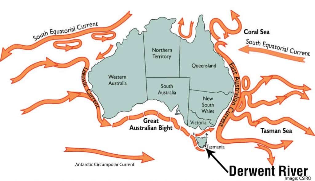 Какие течения проходят у восточных берегов. Карта морских течений Австралии. Направления течений Австралии на карте. Холодные и теплые течения Австралии. Морские течения Австралии.