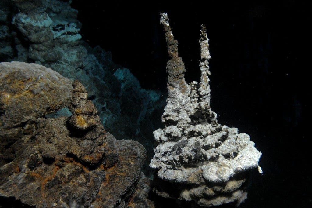 Image of a hydrothermal vent field along the Arctic Mid-Ocean Ridge, close to where 'Loki' was found in marine sediments.
Credit: Centre for Geobiology (University of Bergen, Norway) by R.B. Pedersen