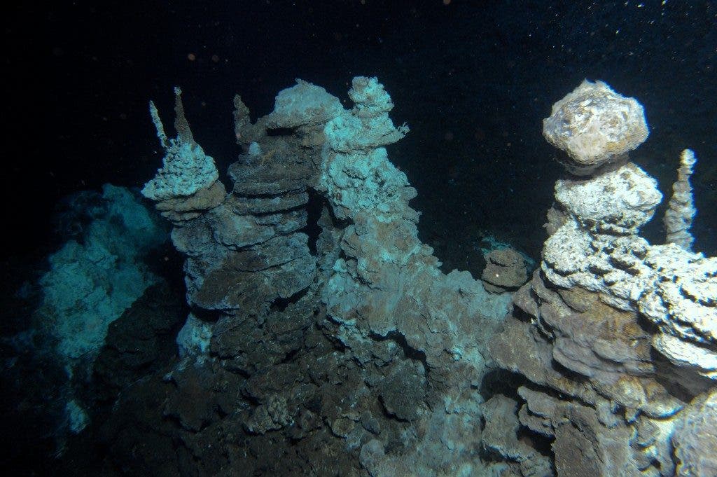 Caption: Image of a hydrothermal vent field along the Arctic Mid-Ocean Ridge, close to where 'Loki' was found in marine sediments. Credit: Centre for Geobiology (University of Bergen, Norway) by R.B. Pedersen