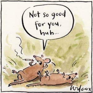 Hope i don't go to hell for this. Illustration: Cathy Wilcox