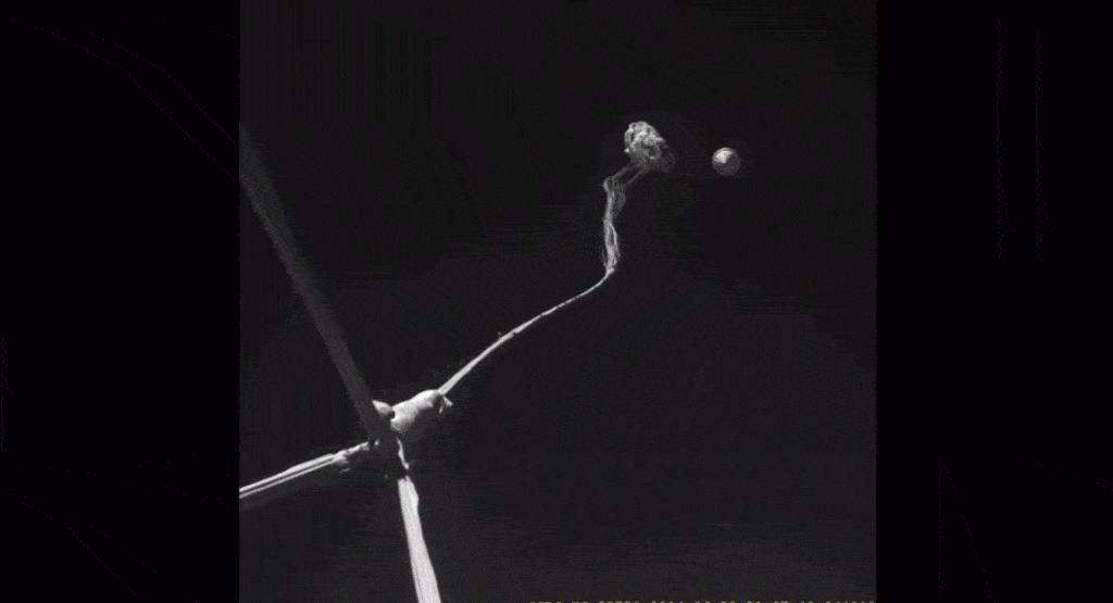 Moments after it was first deployed last year, the LSDS parachute shattered into pieces due to immense friction force. GIF: NASA