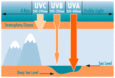 The three types of UV rays. Image: Skin Care Club