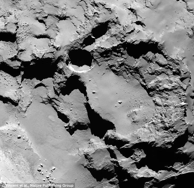 The black layer on the comet's surface may be a result of microbial activity, scientists claim.