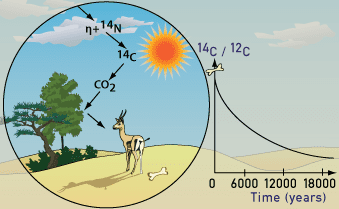 Carbon dating temperature