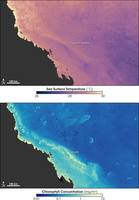 Two images of the Great Barrier Reef showing that the warmest water (top picture) coincides with the coral reefs (lower picture), setting up conditions that can cause coral bleaching. Image via Wikipedia.