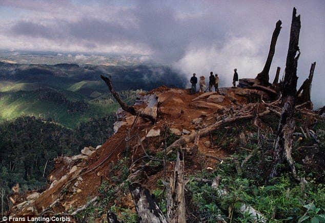 An overexploited Madagascar Logging camp.
Image via dailymail