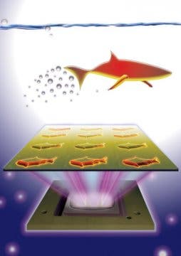 3-D-printed microfish contain functional nanoparticles that enable them to be self-propelled, chemically powered and magnetically steered. The microfish are also capable of sensing  and removing toxins.
Image credits: J. Warner, UC San Diego Jacobs School of Engineering.