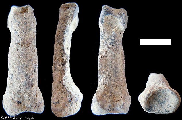 The hand is one of the critical features distinguishing humans, and even a 3.6 cm(1.5-inch), two-million-year-old fragment provides valuable clues. Image credits: M. Domínguez-Rodrigo.