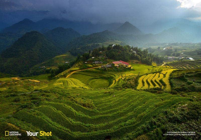 © Sarawut Intarob / National Geographic Your Shot