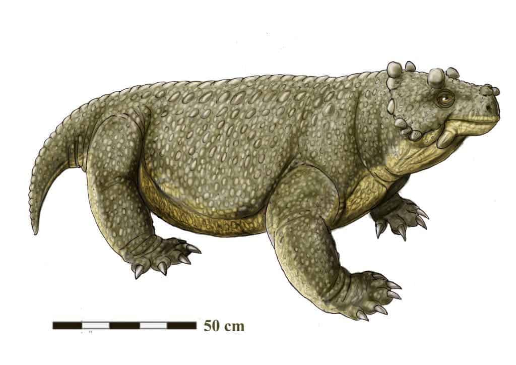 Scientific Reconstruction of Bunostegos akokanensis. Image via Wikipedia.