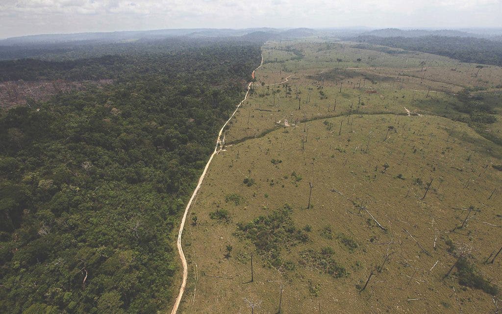 This file photo shows a deforested area near Novo Progresso in the northern Brazilian state of Para. The agribusiness lobby is strong in Brazil, and more and more forests are cut down to make way for agricultural fields. Image via AP.