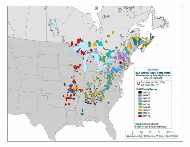 Map of White-Nose Syndrome spreading in North America. Image: whitenosesyndrome.org