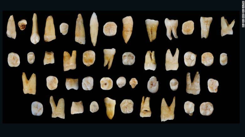 These 47 teeth, estimated to be between 80,000 and 120,000 years old, were found in a cave in Dao county, Hunan province in China.
Image via cnn