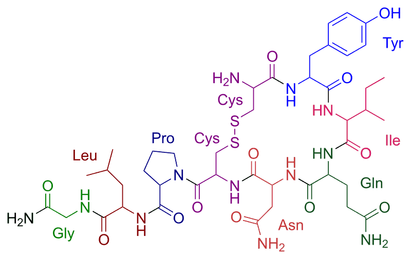 The hormone Oxytocin.
Image via wikimedia