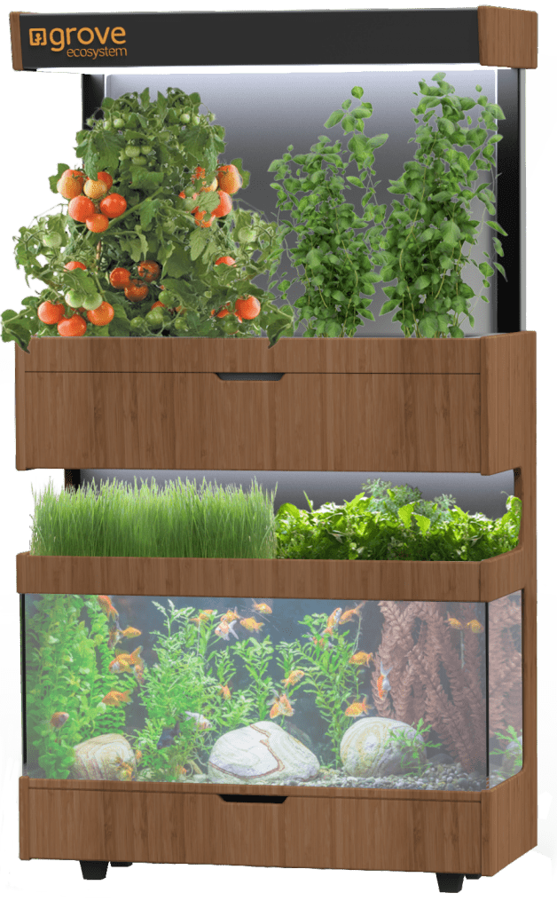 Futuristic garden uses aquaponics to grow veggies