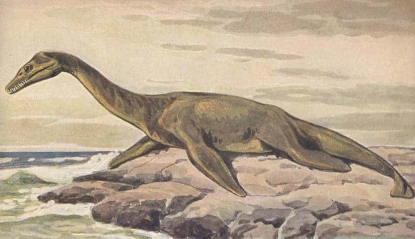 Painting of a plesiosaur on land, by Heinrich Harder. They might have been able to move a little bit on land, as modern seals do, but recent findings suggest these marine reptiles spent all their lives in the ocean. 