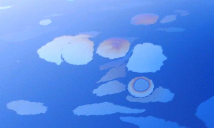 Tiny bubbles of oil and gas rise from mile-deep vents on the seafloor. When they burst at the surface, the oil spreads into patches of rainbow sheen the size of dinner plates.Photo: AJIT SUBRAMANIAM /COLUMBIA UNIVERSITY