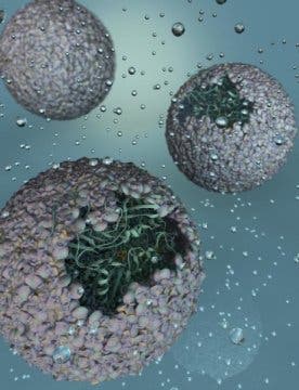Artist's rendering of P22-Hyd, the new biomaterial created by encapsulating a hydrogen-producing enzyme within a virus shell.
Image via sciencedaily