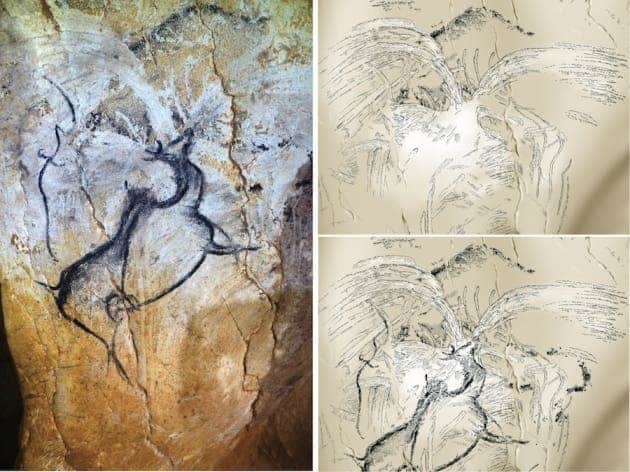 Spray-shaped drawings in an inner gallery of the Chauvet cave may depict a volcanic eruption. Left: general view; right: traced detail, with an overlaid charcoal painting of a giant deer species removed (lower right). Image credits: . Genty (left)/V. Feruglio/D. Baffier (right)/CC BY 4.0
