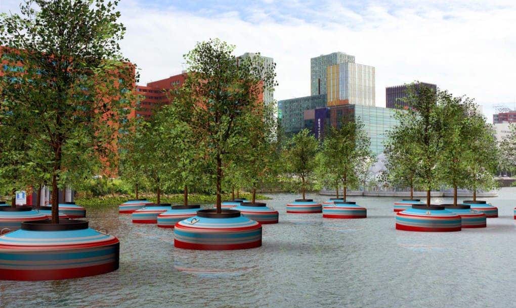 Concept of the floating forest to be installed in Rotterdam
Image via inhabitat