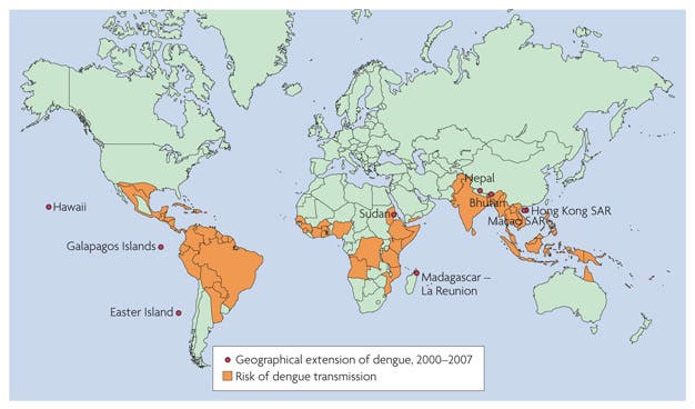 The countries and areas at risk of dengue transmission are shaded in orange, and the geographical extension of dengue is indicated in red. Data are from the World Health Organization, 2007.
Image via nature