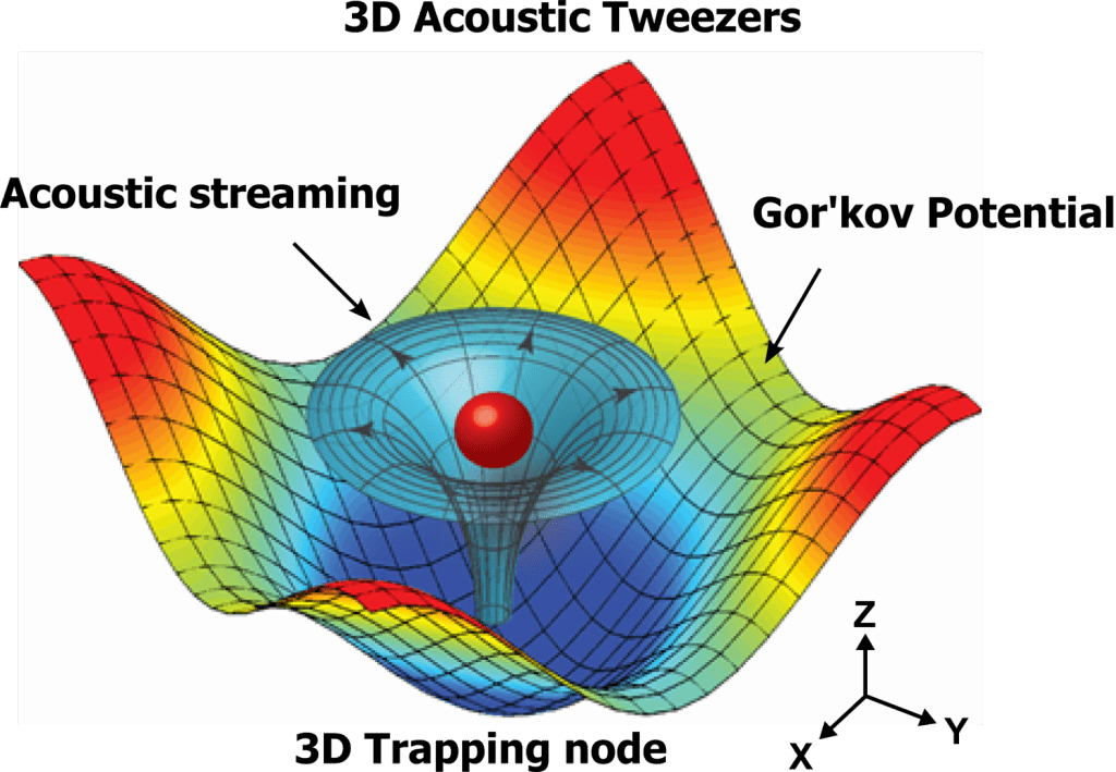 Numerical simulation results mapping the acoustic field around a particle that shows the physical operating principle for the 3-D acoustic tweezers. The 3-D trapping node in the microfluidic chamber is created by two superimposed, orthogonal, standing surface acoustic waves and the induced acoustic streaming. Credit: Tony Jun Huang, Penn State 