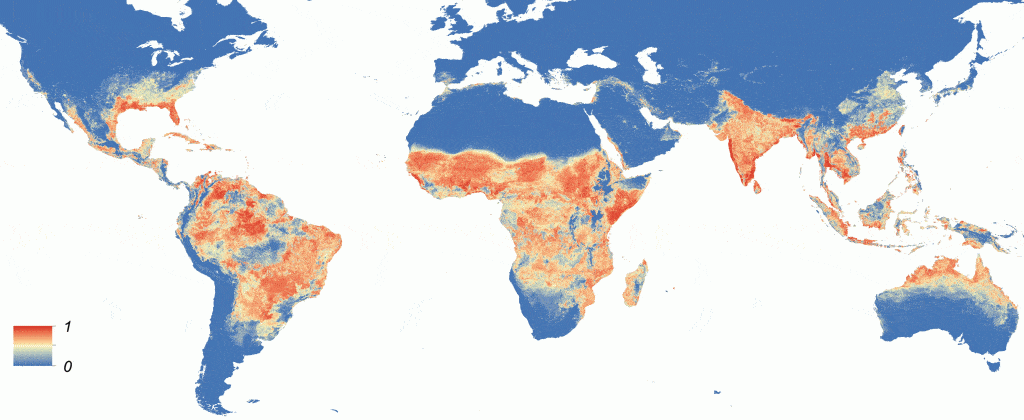 Global Aedes aegypti predicted distribution. The map depicts the probability of occurrence (blue=none, red=highest occurrence).