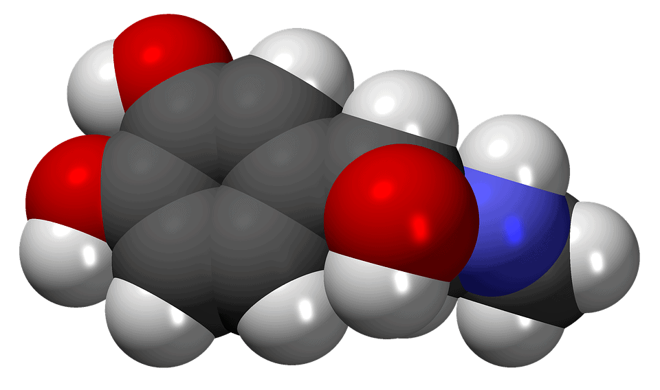 3D model of the hormone adrenaline.
Image via pixabay