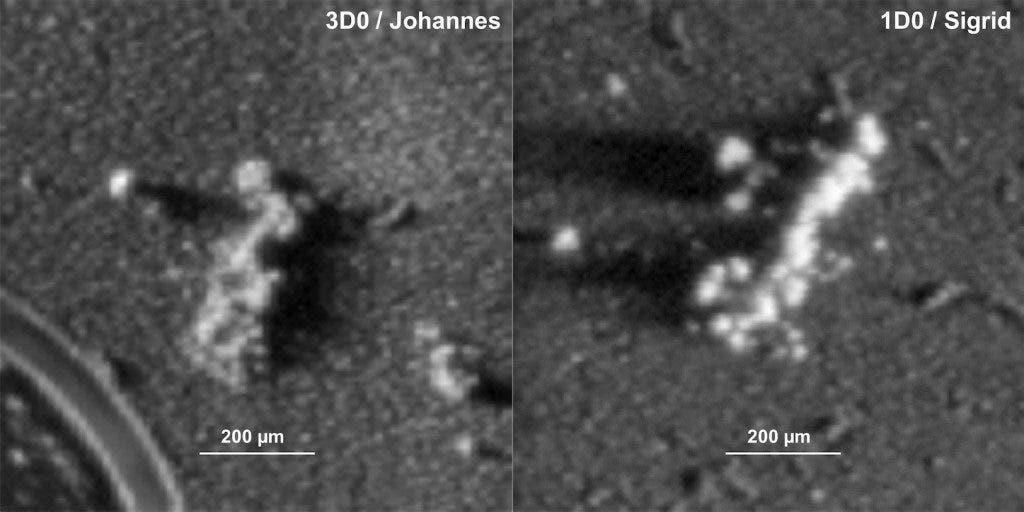 Glued clusters comprise relatively well-defined particles with an overall complex structure including sub-components which appear to be linked together by a fine-grained matrix, giving the appearance of a smooth surface texture.  Credit: ESA