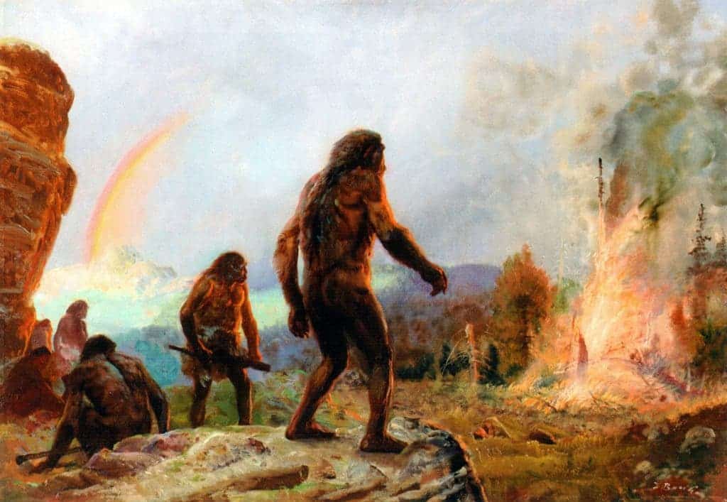 Neanderthal fire