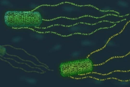 MIT biological engineers have developed a programming language - for living cells. Image credit: Janet Iwasa.