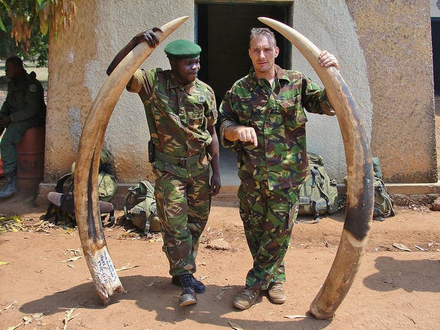 Elephant ivory seized from poachers in Garamba. Credit: Flickr Enough Project
