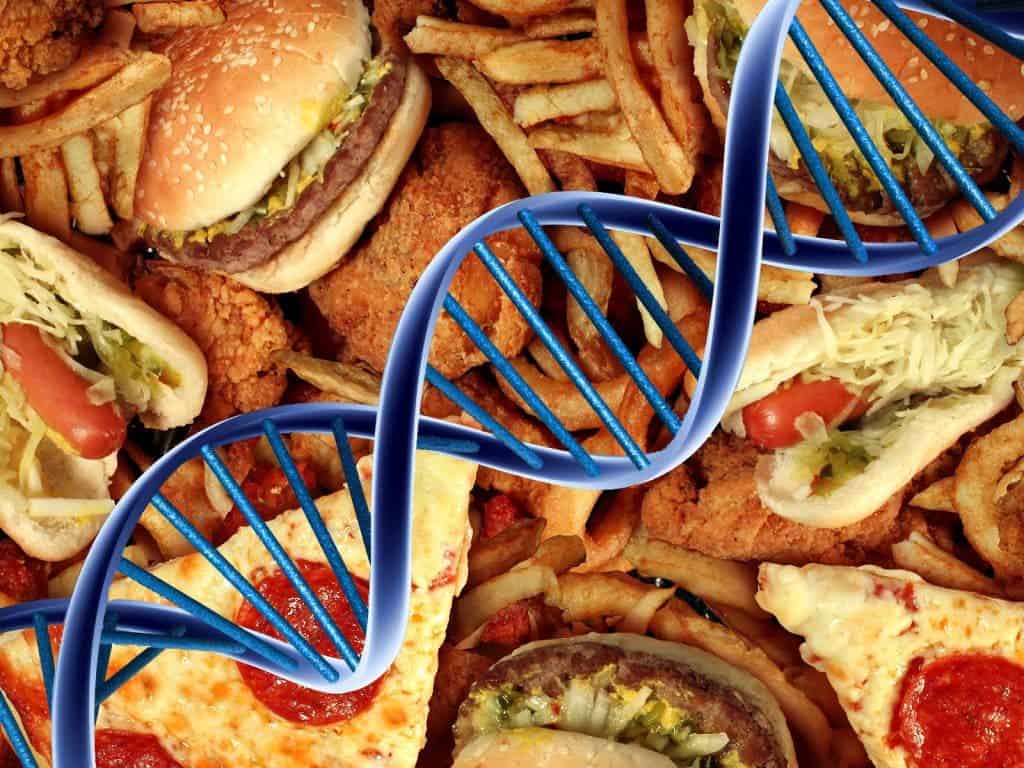 Junk food DNA