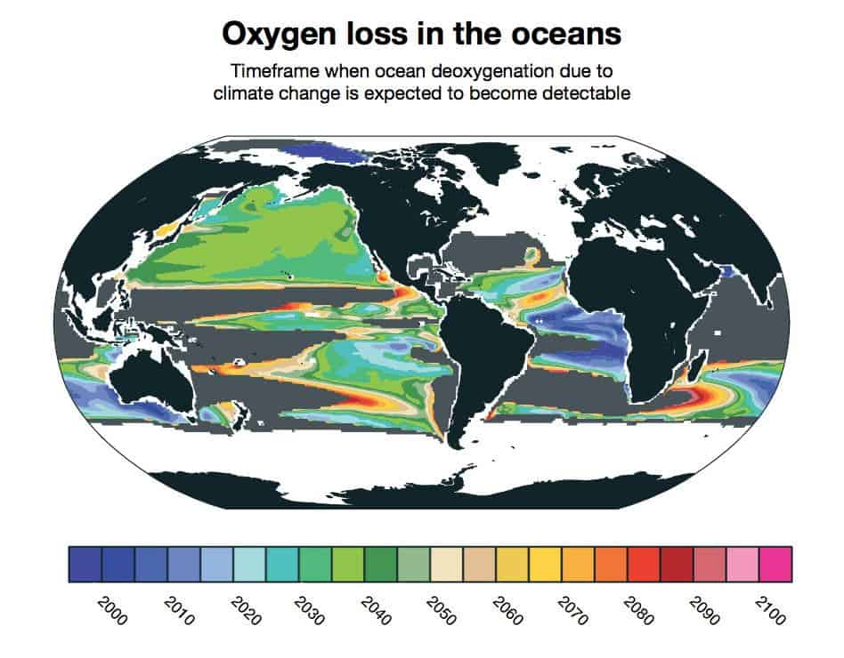 Deoxgenation due to climate change is already detectable in some parts of the ocean. New research from NCAR finds that it will likely become widespread between 2030 and 2040. Credit: Matthew Long, NCAR. 