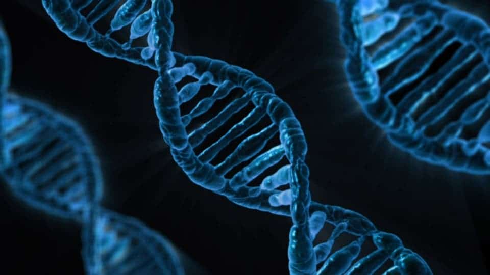 DNA illustration, via Pixabay.