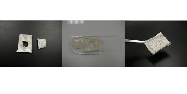 SRT coated fabric self-heals. From left, fabric with hole, wet fabric and patch in a drop of water, self-healed fabric. Image: Demirel Lab / Penn State