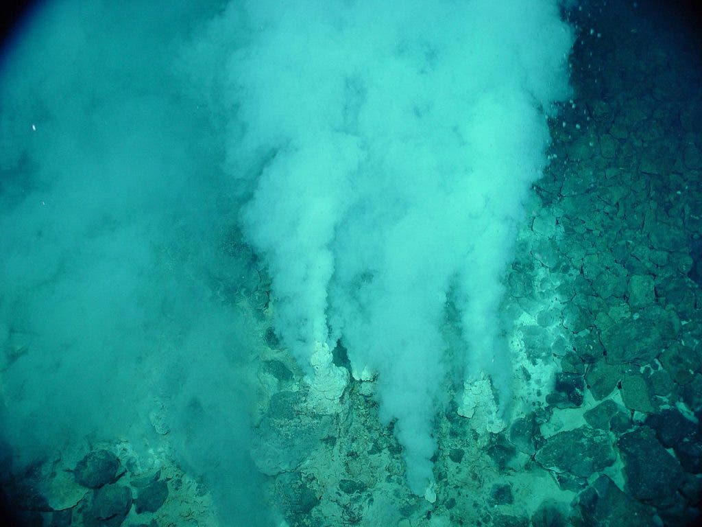 A hydrothermal vent in the Northwest Eifuku volcano. Credit: National Oceanic and Atmospheric Administration (NOAA)