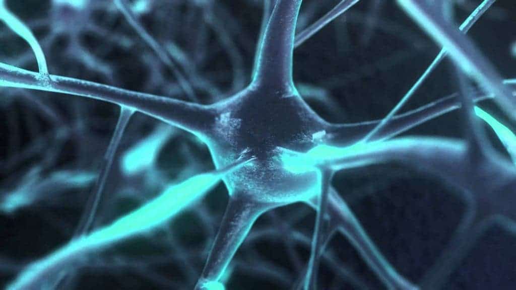 Neurons are the building blocks of our nervous system.
Image via youtube