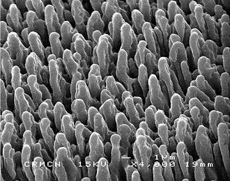 Black silicon raises a pointy answer to an old question. A lot of pointy answers, actually.
Image credits Sedao/Wikimedia