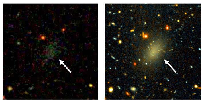 Both images show the Dragonfly 44 dark galaxy, only on the left it's much fainter (Sloan Digital Sky Survey), while the on the right (Gemini telescope) was taken with a very long exposure. Credit Pieter van Dokkum, Roberto Abraham, Gemini, Sloan Digital Sky Survey