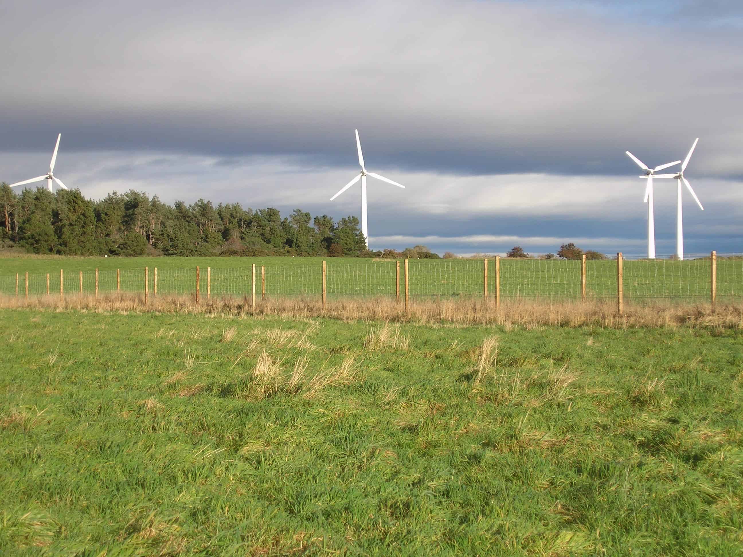The wind turbines at Findhorn, part of an Ecovillage which is a net exporter of electricity. W. L. Tarbert