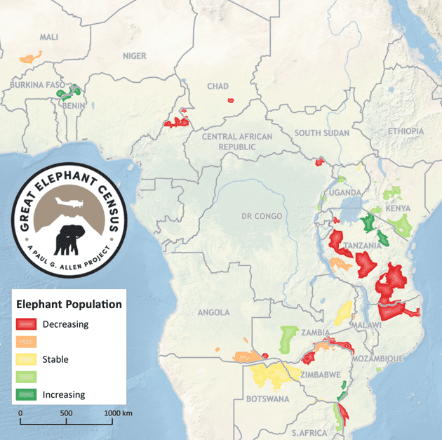 The most vulnerable areas in Africa to elephant poaching are colored in red. Most are located in Tanzania, Mozambique, Zimbabwe and Chad. Credit: GREAT ELEPHANT CENSUS