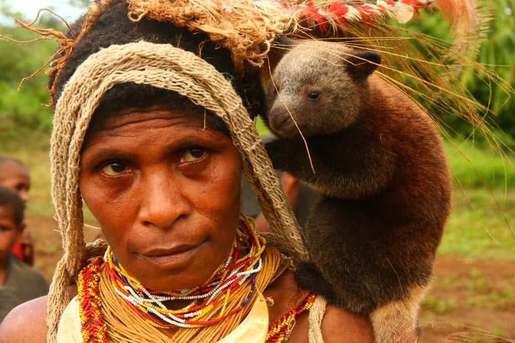 new guinea aborigens
