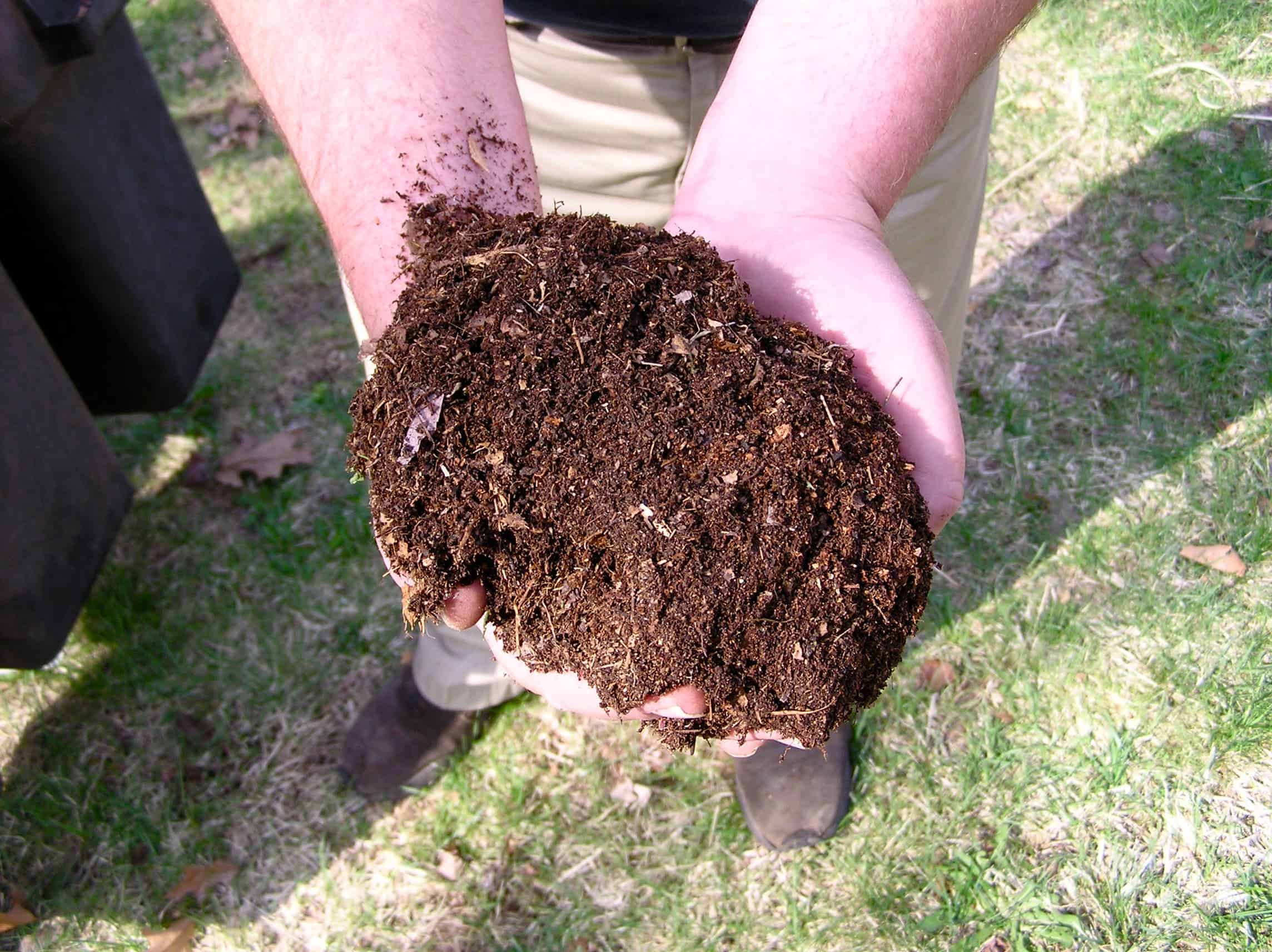Compost is sustainable and easy to make. Photo by normanack.
