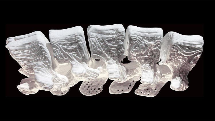 The section of a human spine made from the new 3-D printed material. Credit: Adam E. Jakus