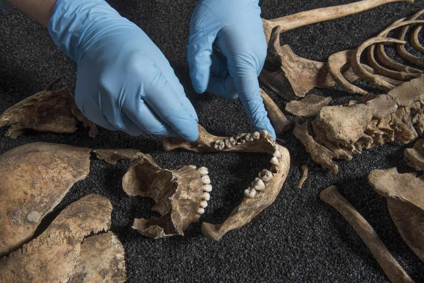 Part of the remains found in Southwark.
Image credits Museum of London.