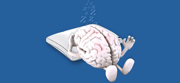 sleeping-brain